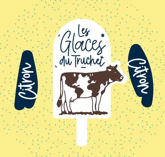 Glace Citron 2500 ml
