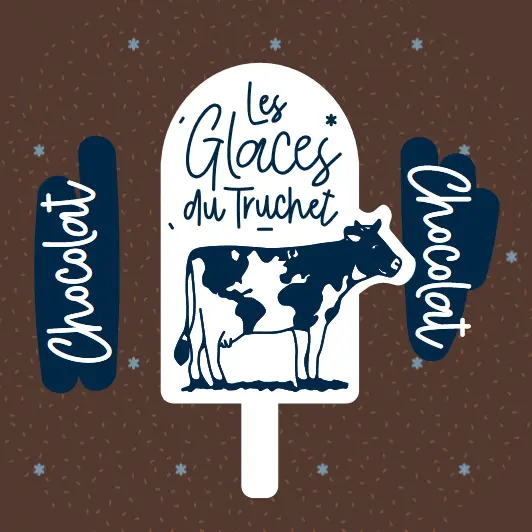 Glace Chocolat 2500 ml