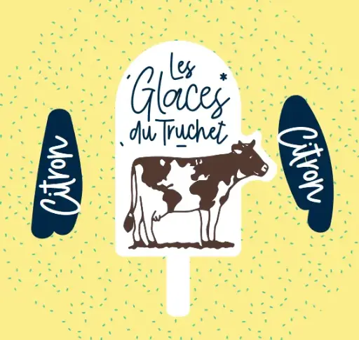 [108] Glace Citron 500 ml